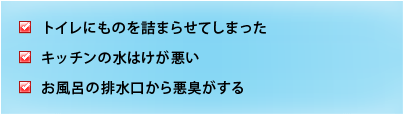 トイレにものを詰まらせてしまった キッチンの水はけが悪い お風呂の排水口から悪臭がする